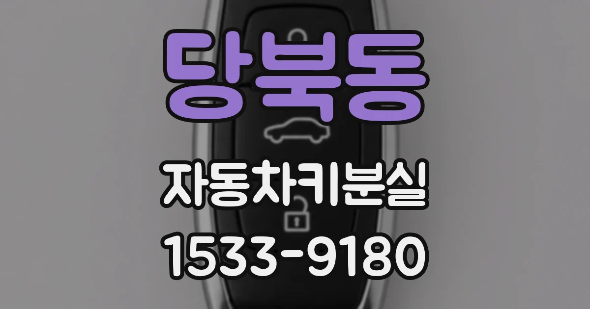 당북동 자동차키분실