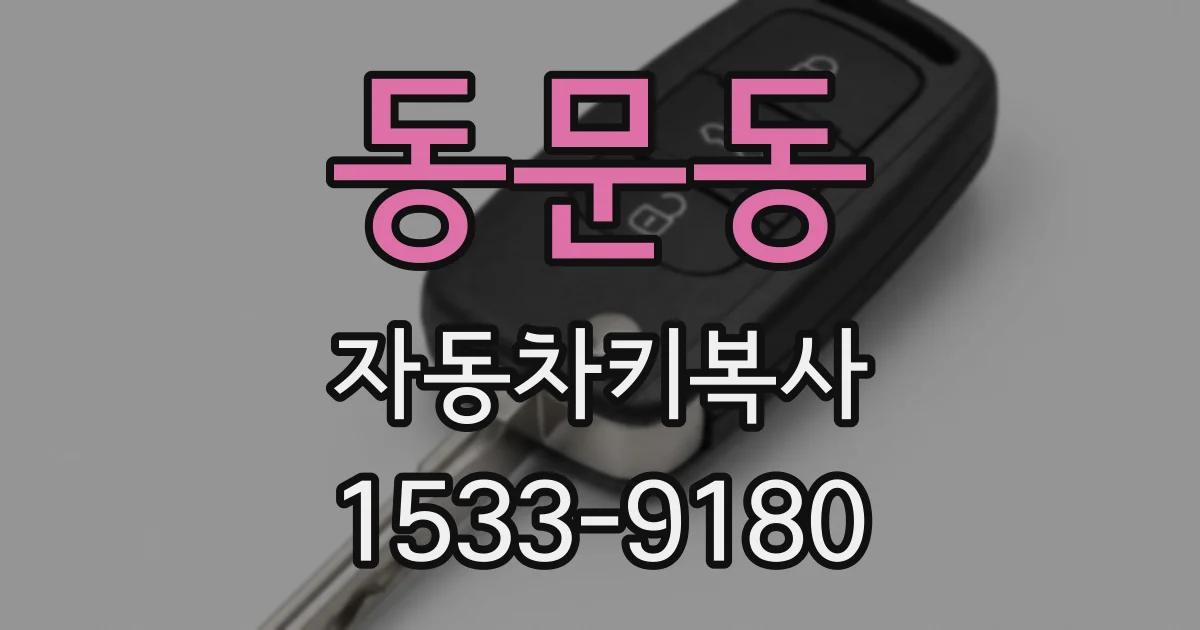 동문동 자동차키복사