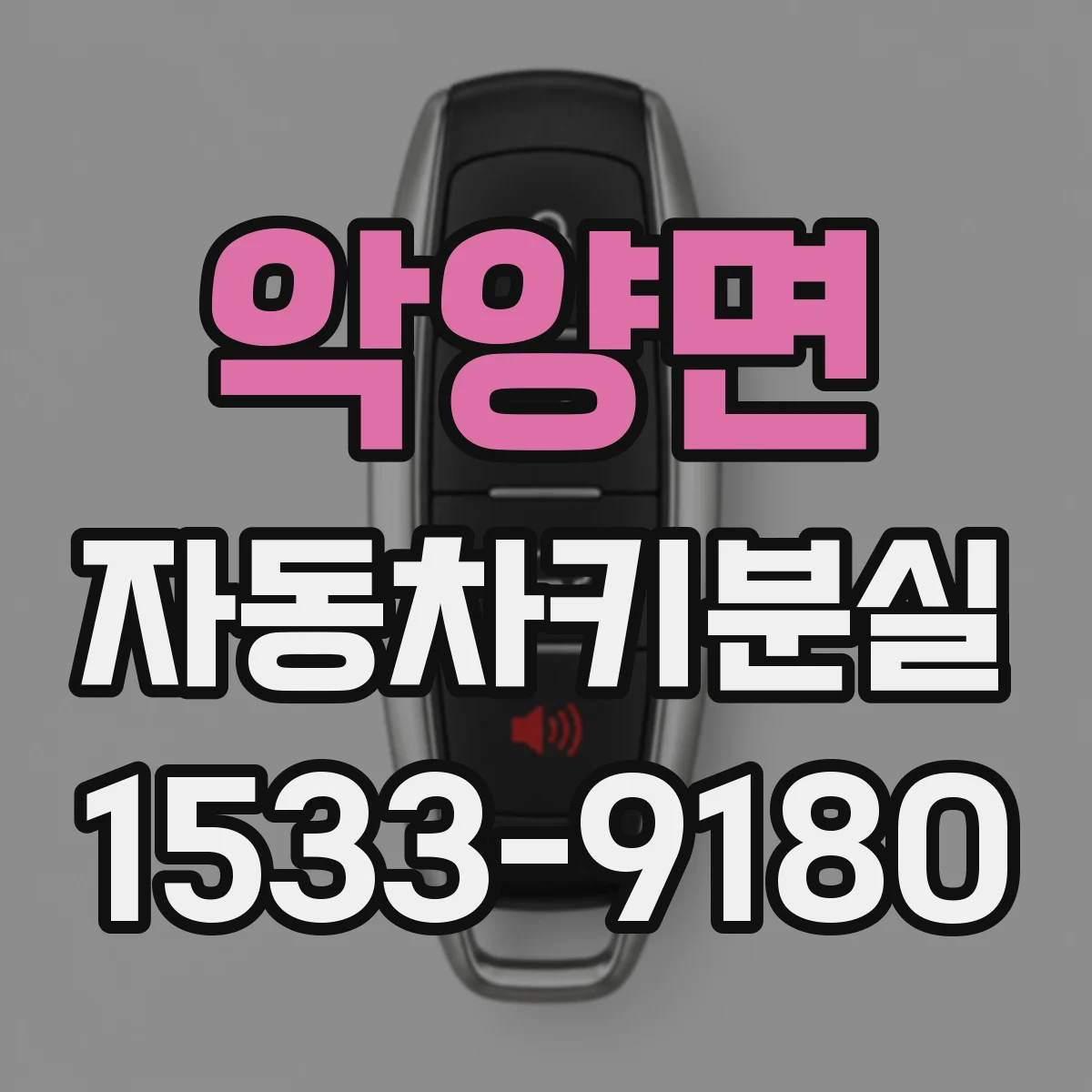 악양면 자동차키분실