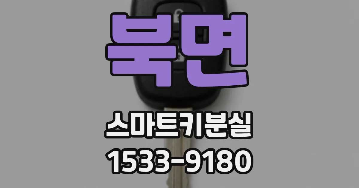 북면 스마트키분실