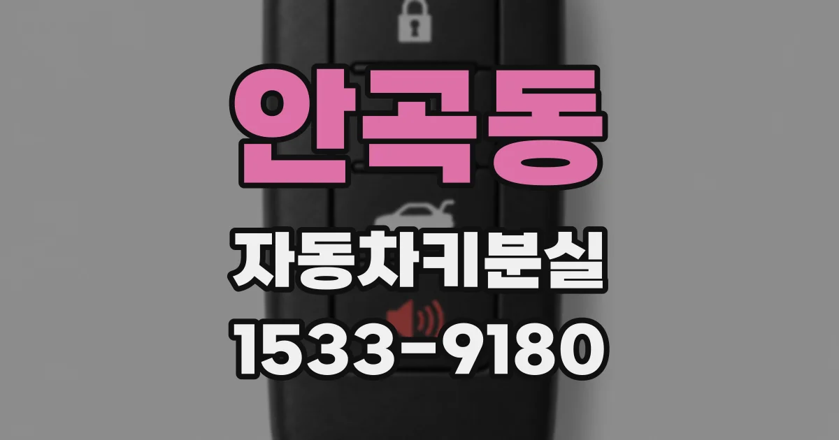 안곡동 자동차키분실