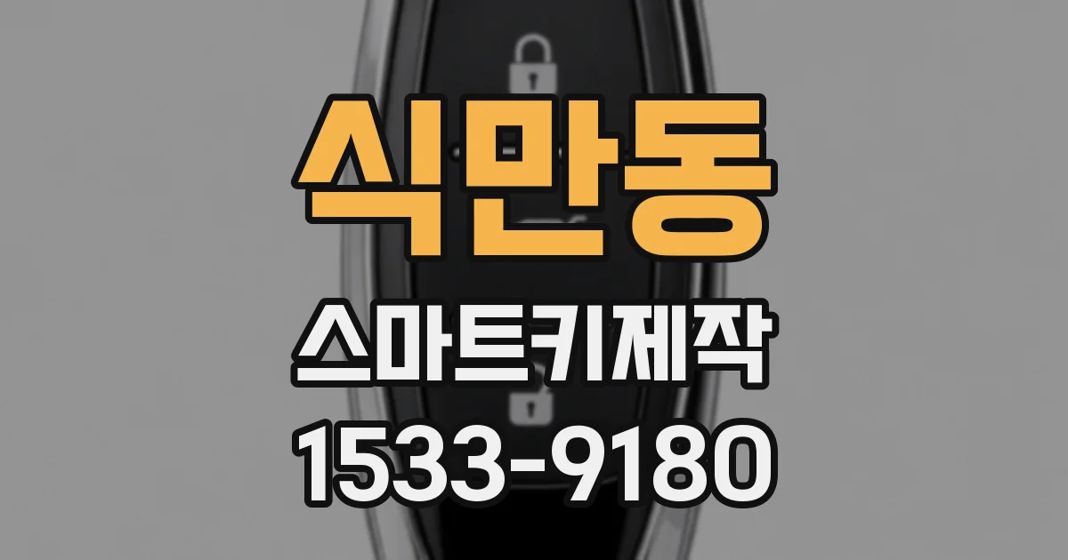 식만동 스마트키제작