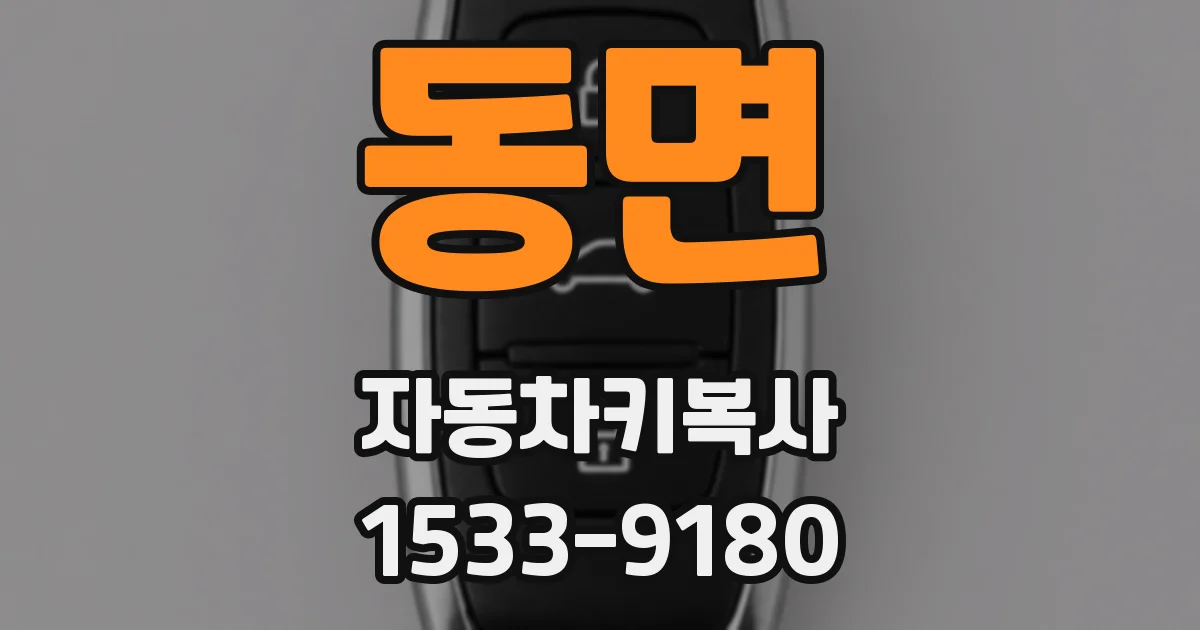 동면 자동차키복사
