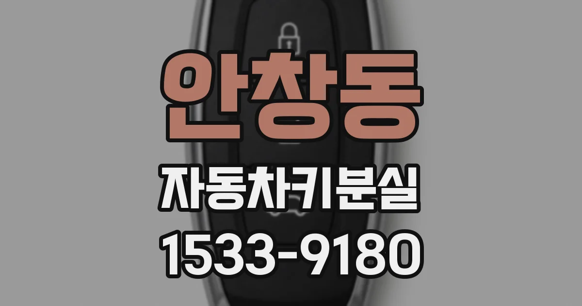 안창동 자동차키분실
