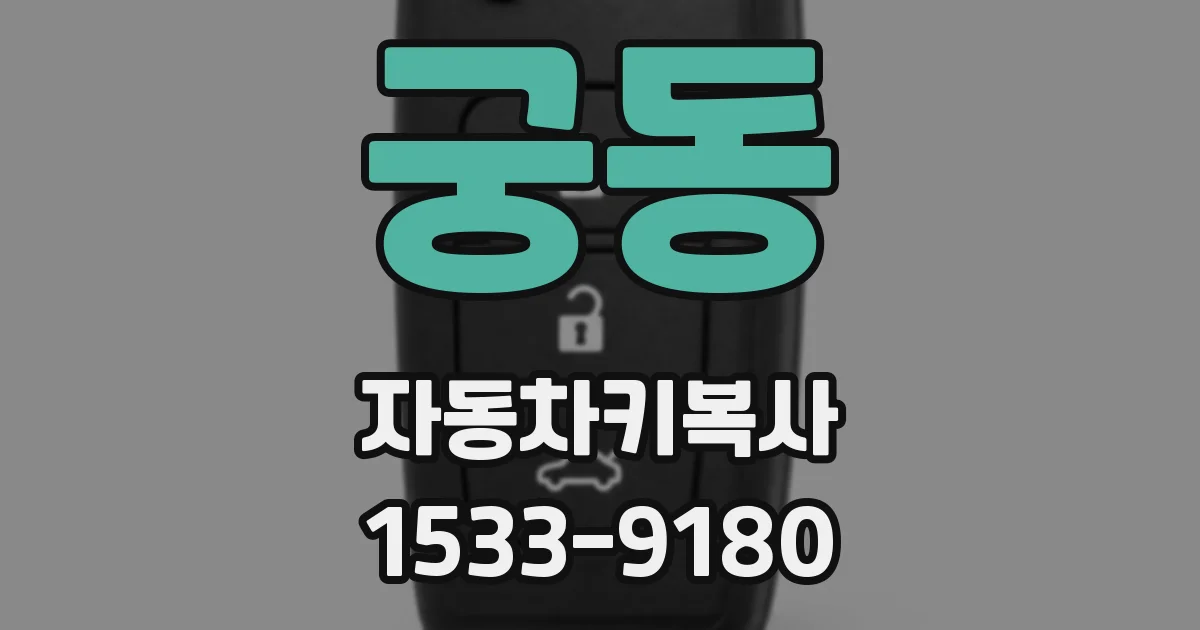궁동 자동차키복사