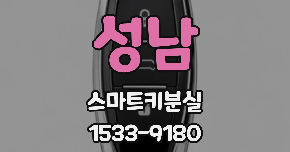 성남 스마트키분실