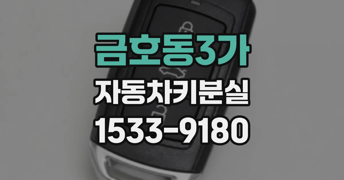 금호동3가 자동차키분실