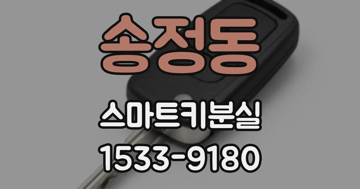 송정동 스마트키분실
