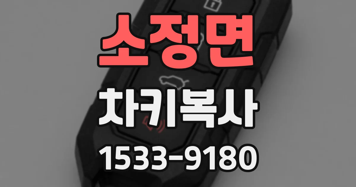소정면 차키복사