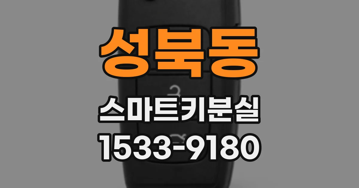 성북동 스마트키분실