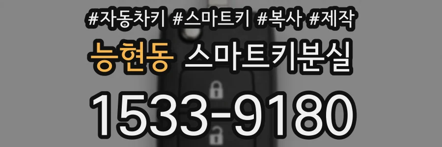 능현동 스마트키분실