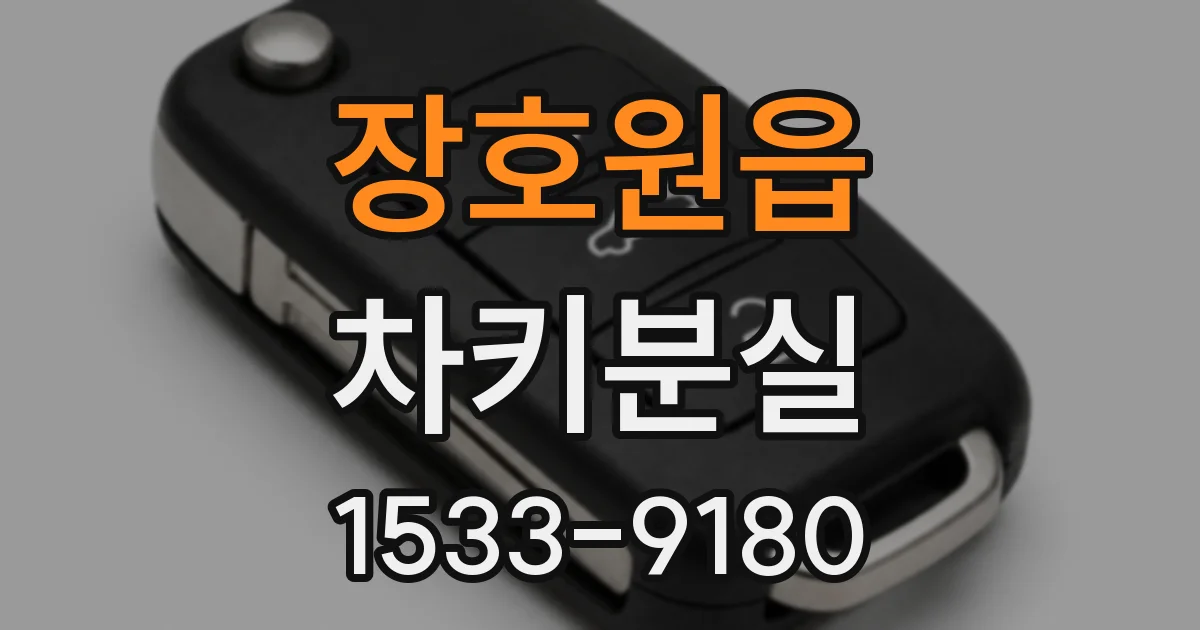 장호원읍 차키분실