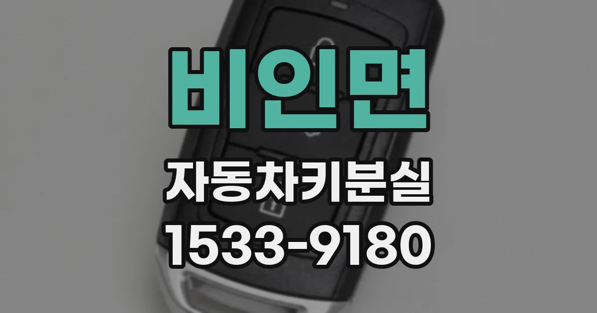 비인면 자동차키분실