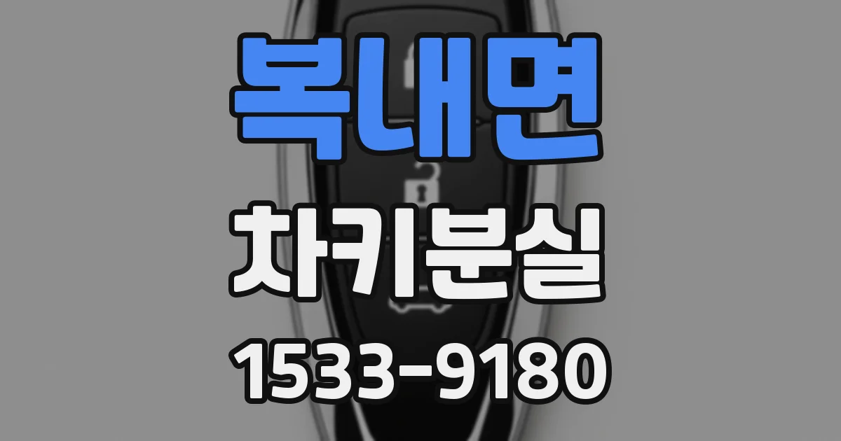 복내면 차키분실