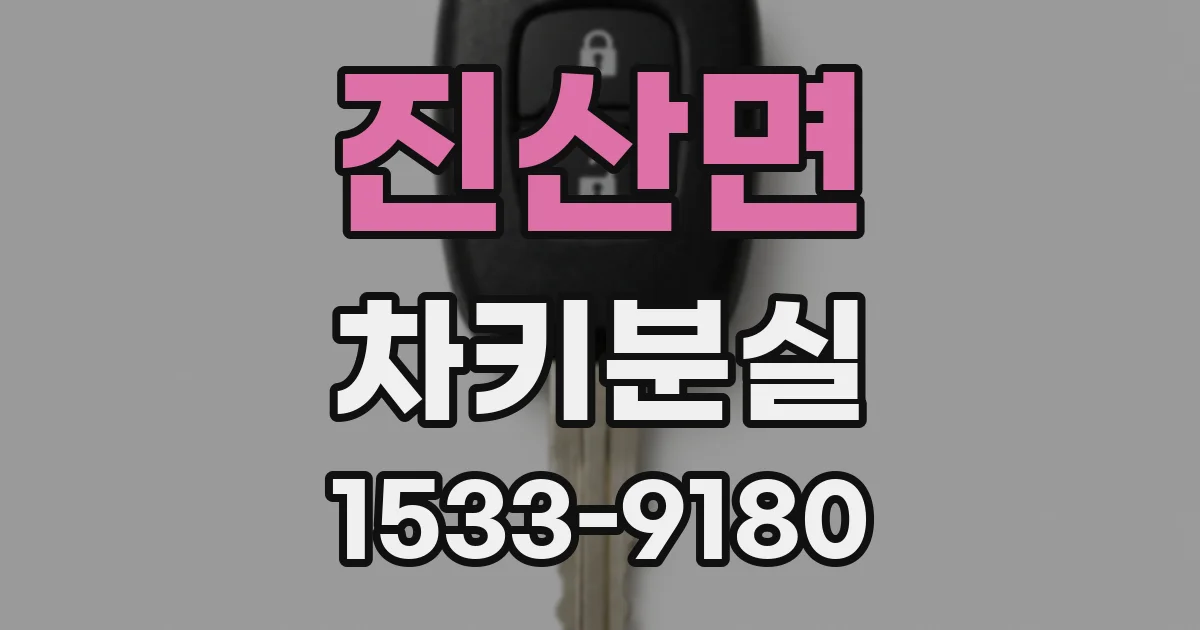 진산면 차키분실