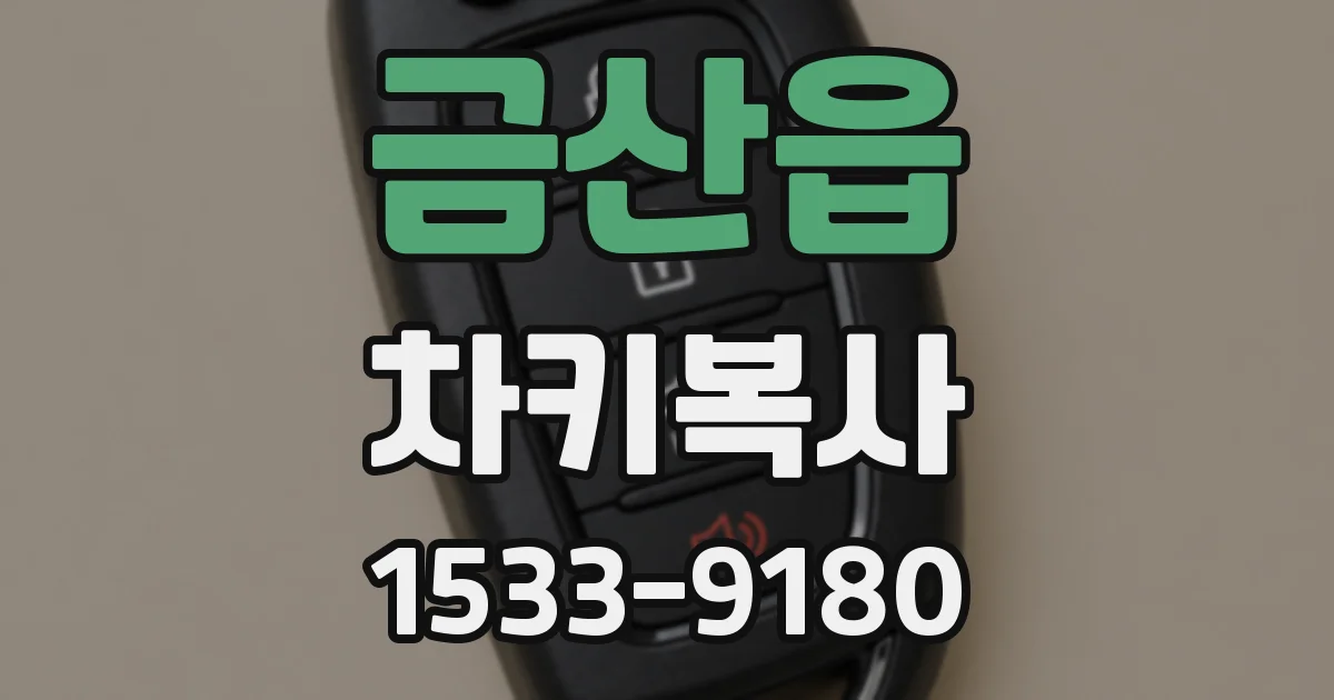 금산읍 차키복사