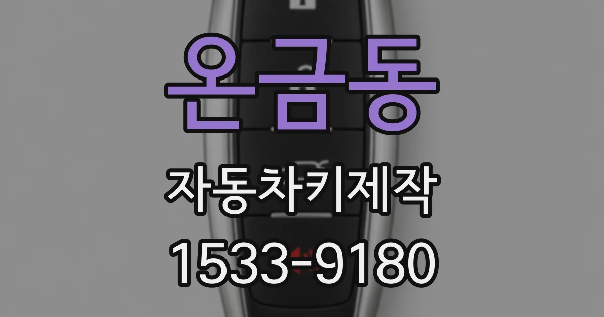 온금동 자동차키제작