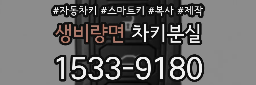 생비량면 차키분실