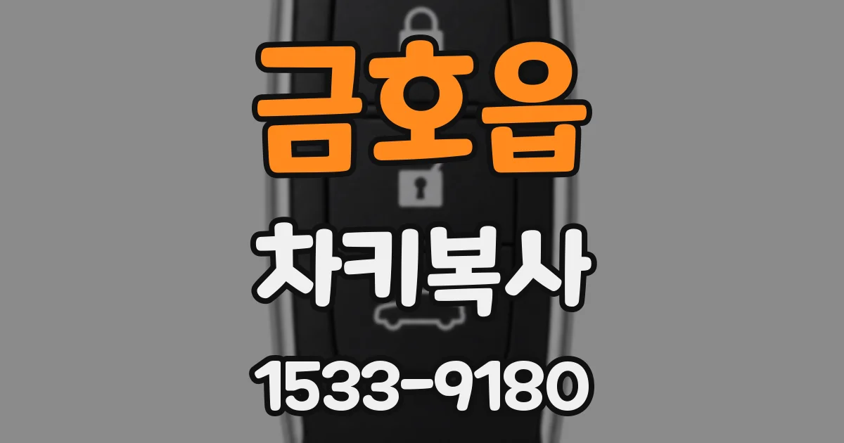 금호읍 차키복사