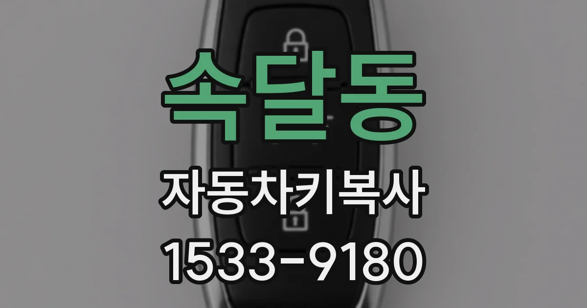 속달동 자동차키복사