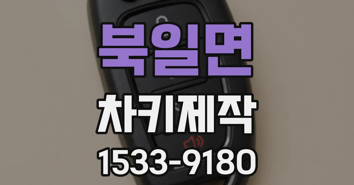 북일면 차키제작