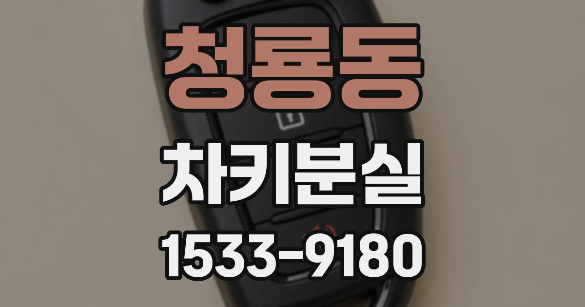 청룡동 차키분실
