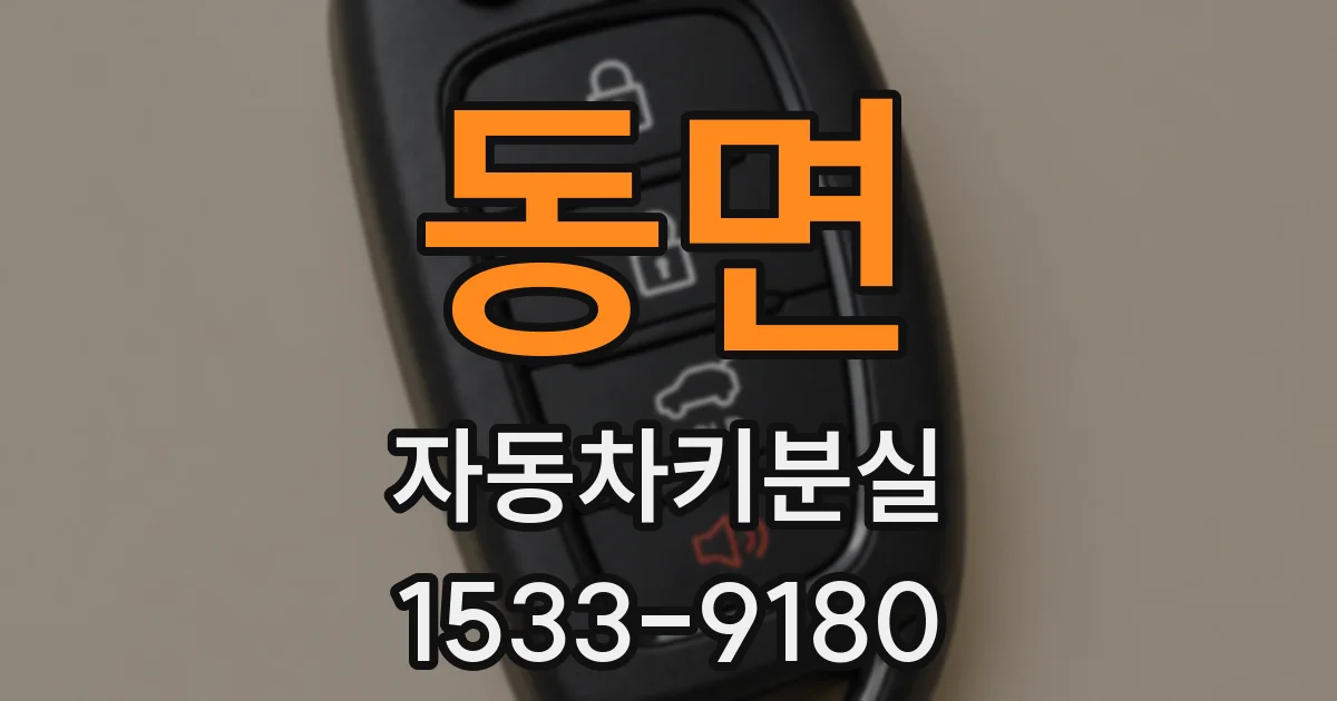 동면 자동차키분실