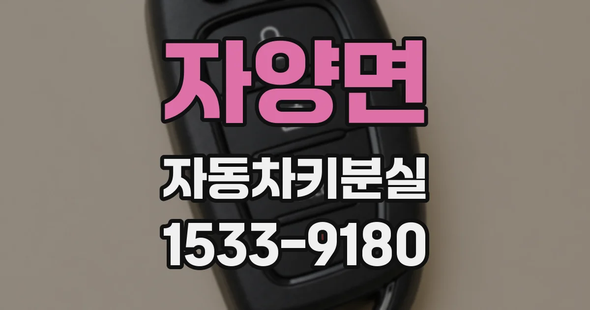 자양면 자동차키분실