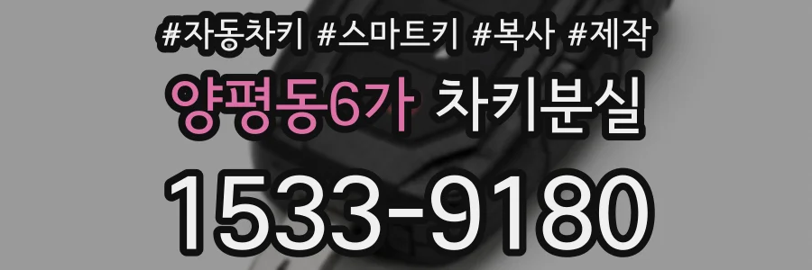 양평동6가 차키분실