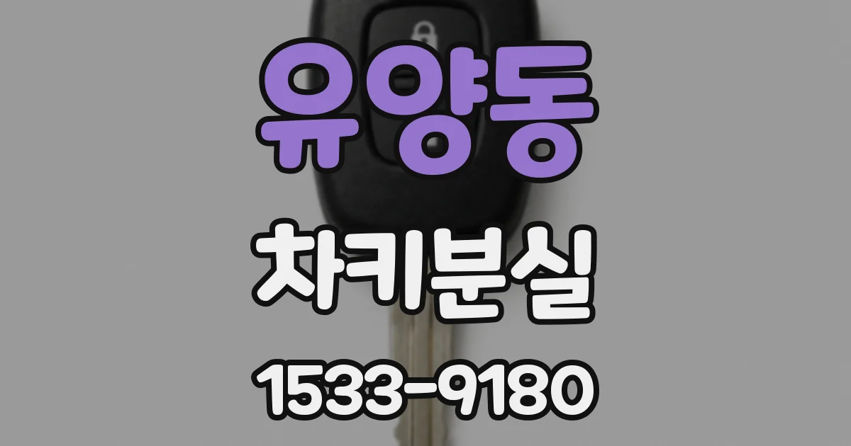 유양동 차키분실