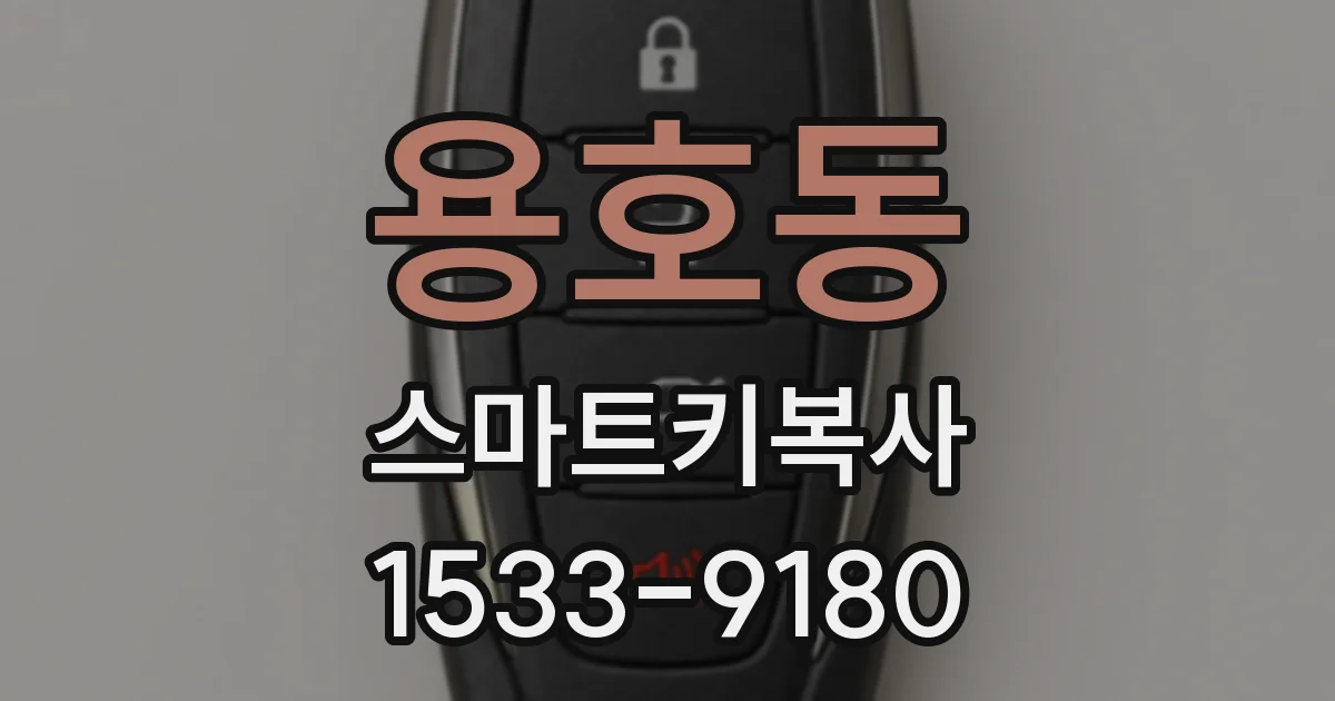 용호동 스마트키복사