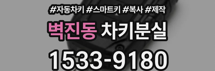 벽진동 차키분실