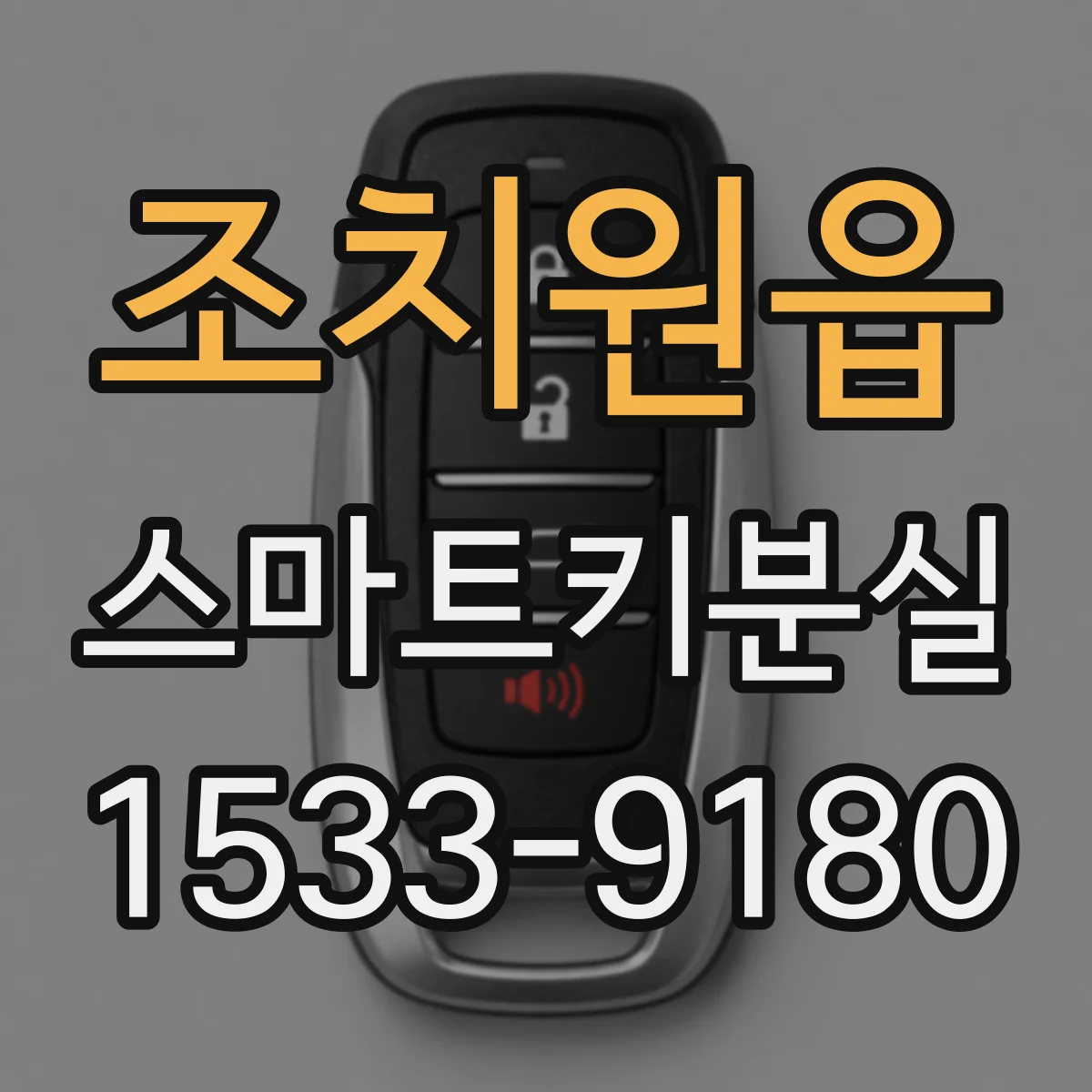 조치원읍 스마트키분실