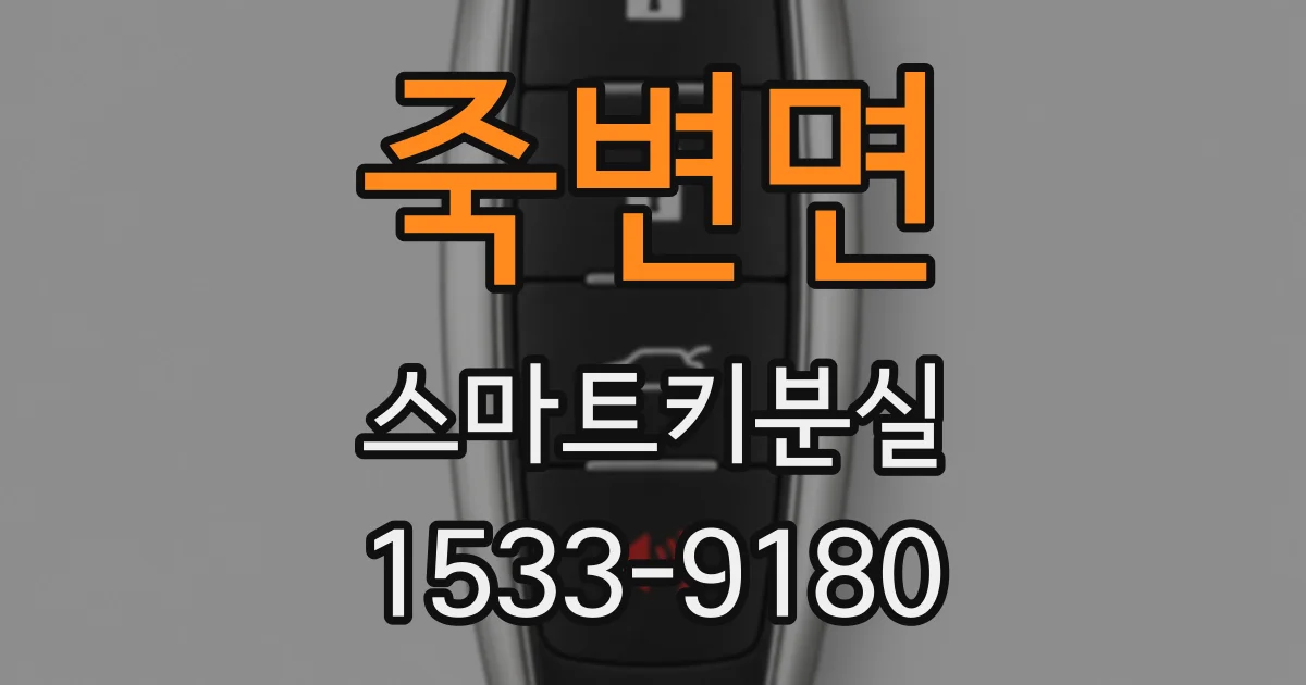 죽변면 스마트키분실