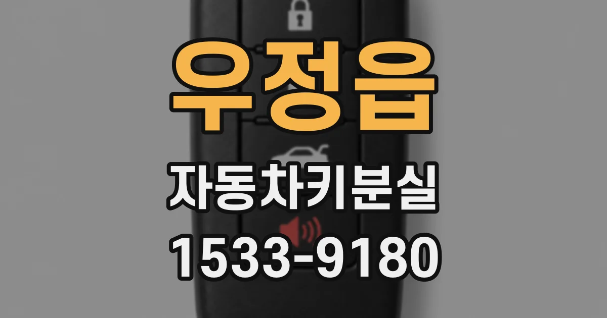 우정읍 자동차키분실
