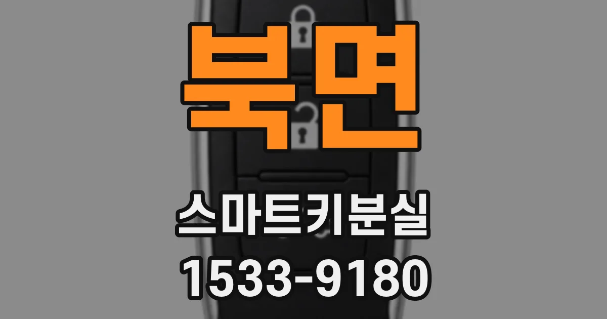 북면 스마트키분실