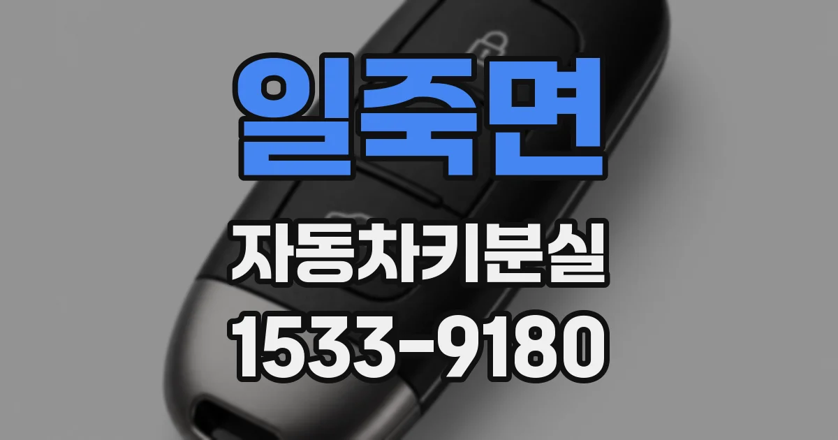 일죽면 자동차키분실