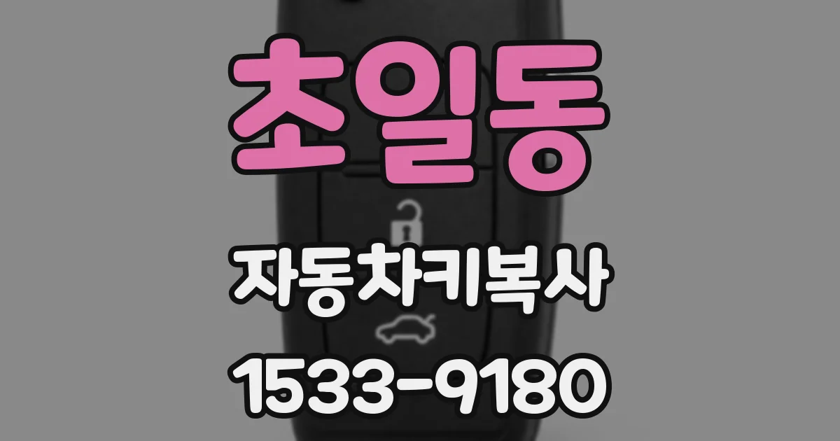 초일동 자동차키복사