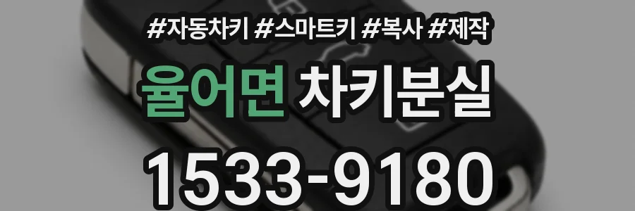 율어면 차키분실