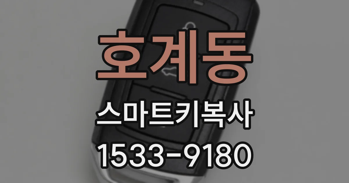 호계동 스마트키복사