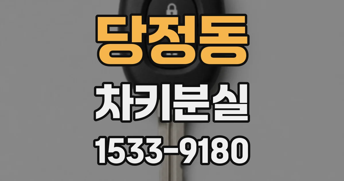 당정동 차키분실