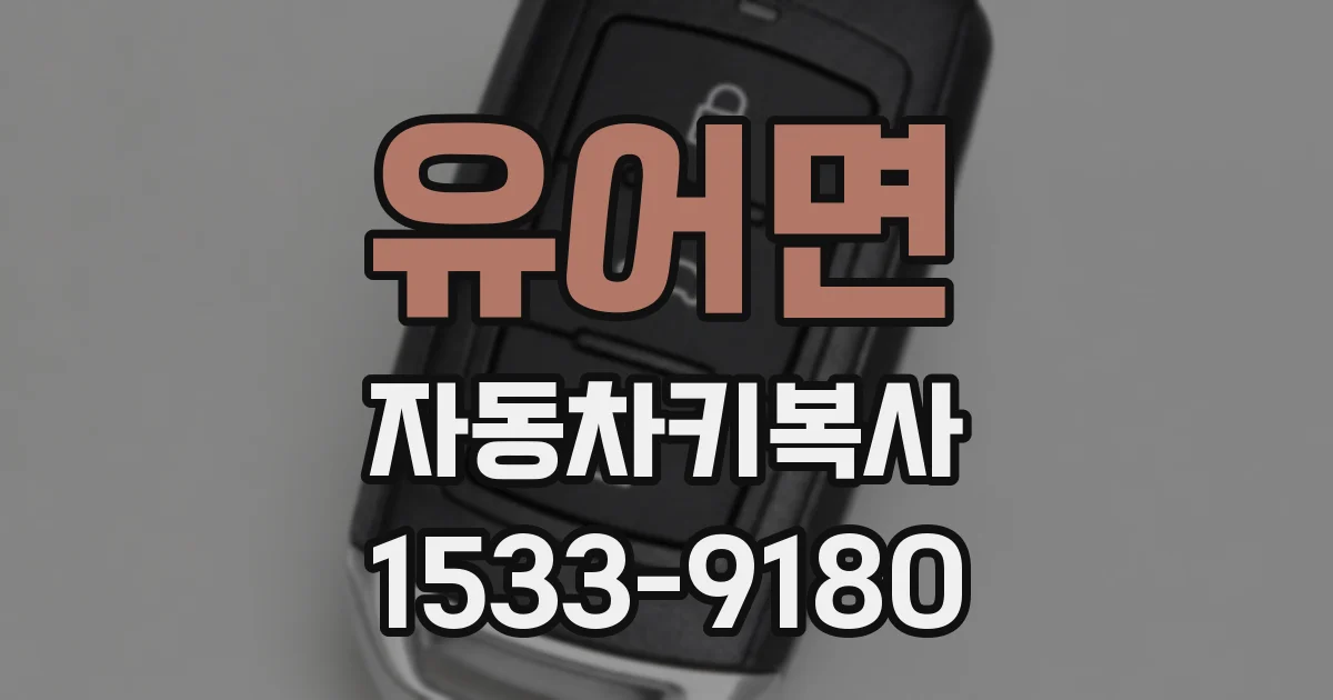 유어면 자동차키복사