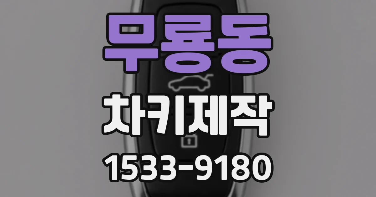 무룡동 차키제작