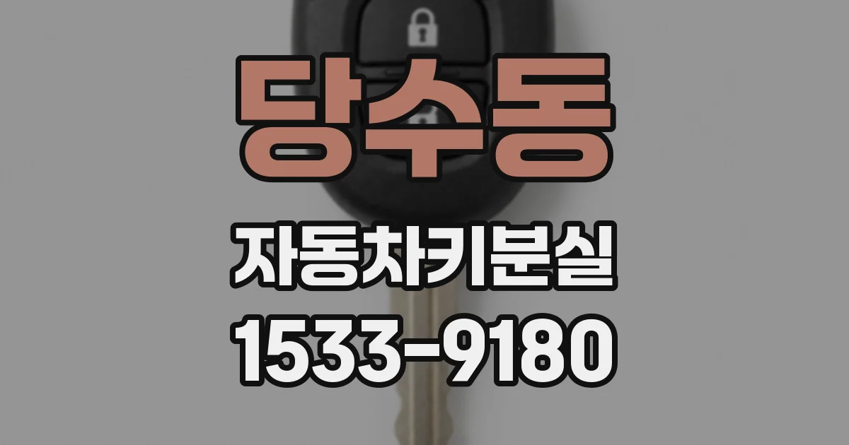 당수동 자동차키분실