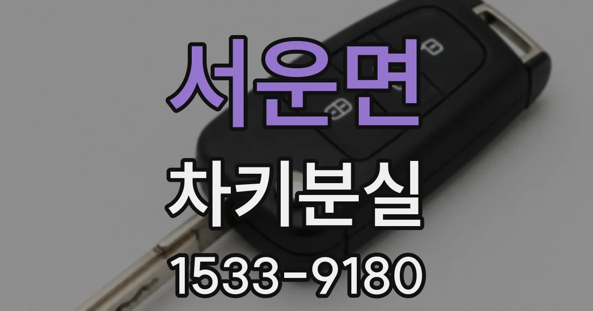 서운면 차키분실