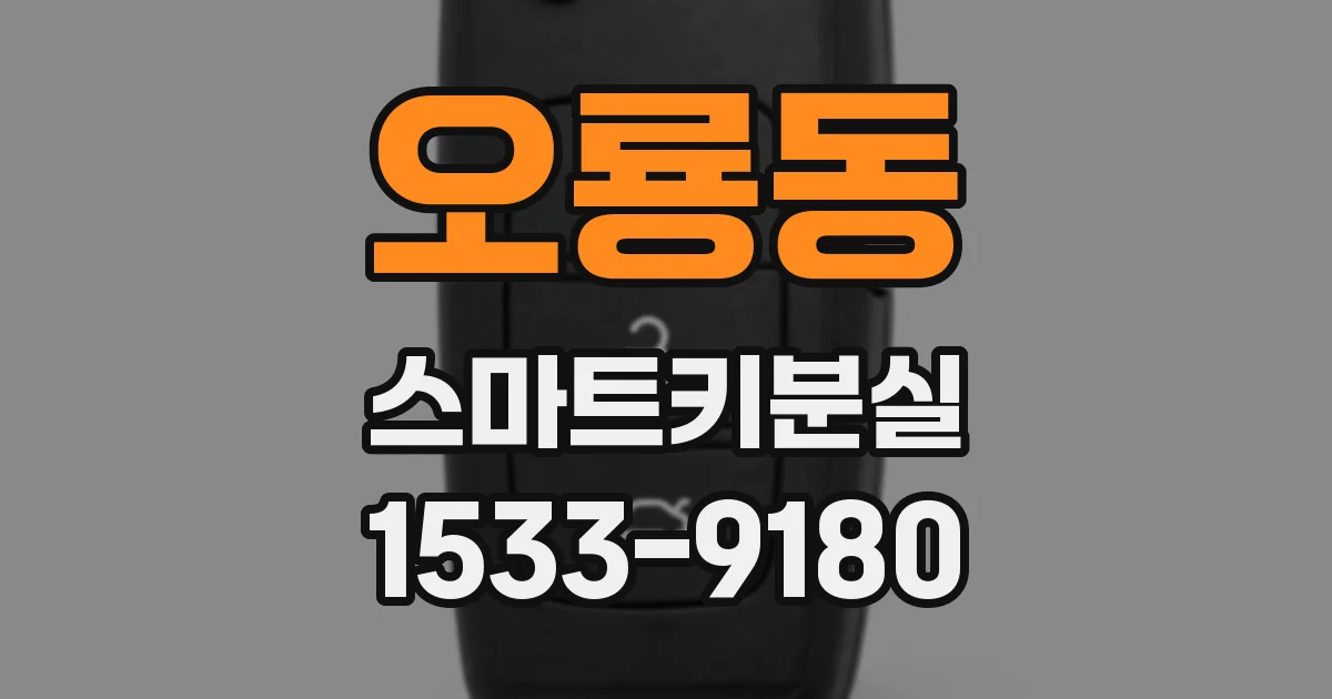 오룡동 스마트키분실