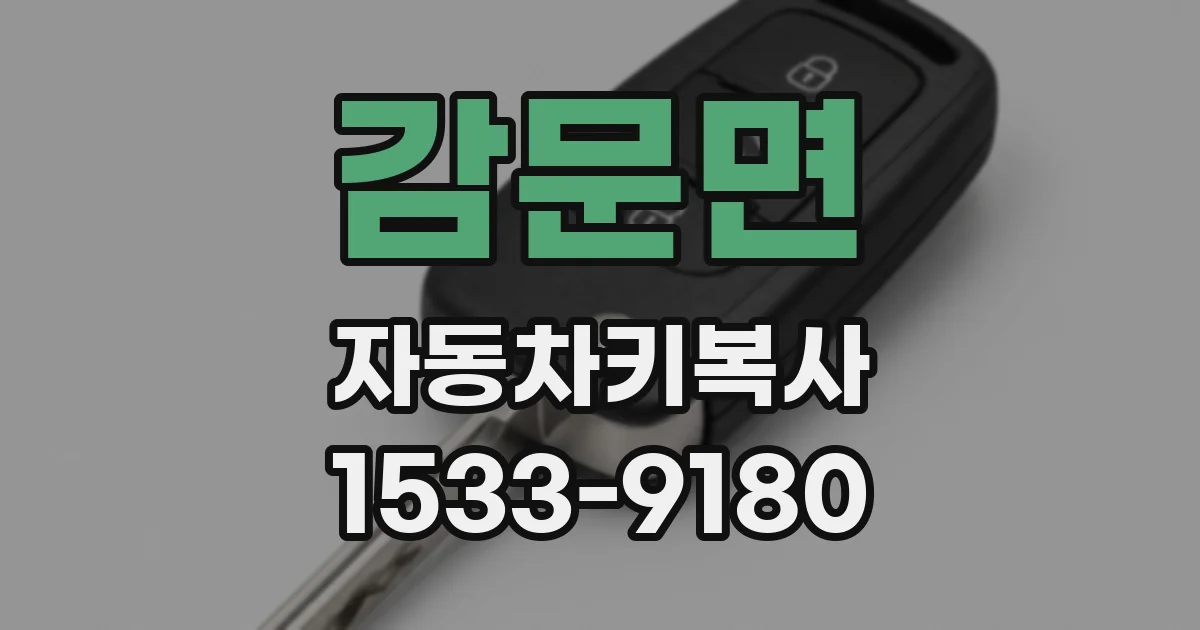감문면 자동차키복사