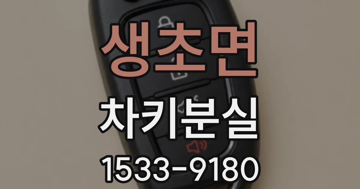 생초면 차키분실