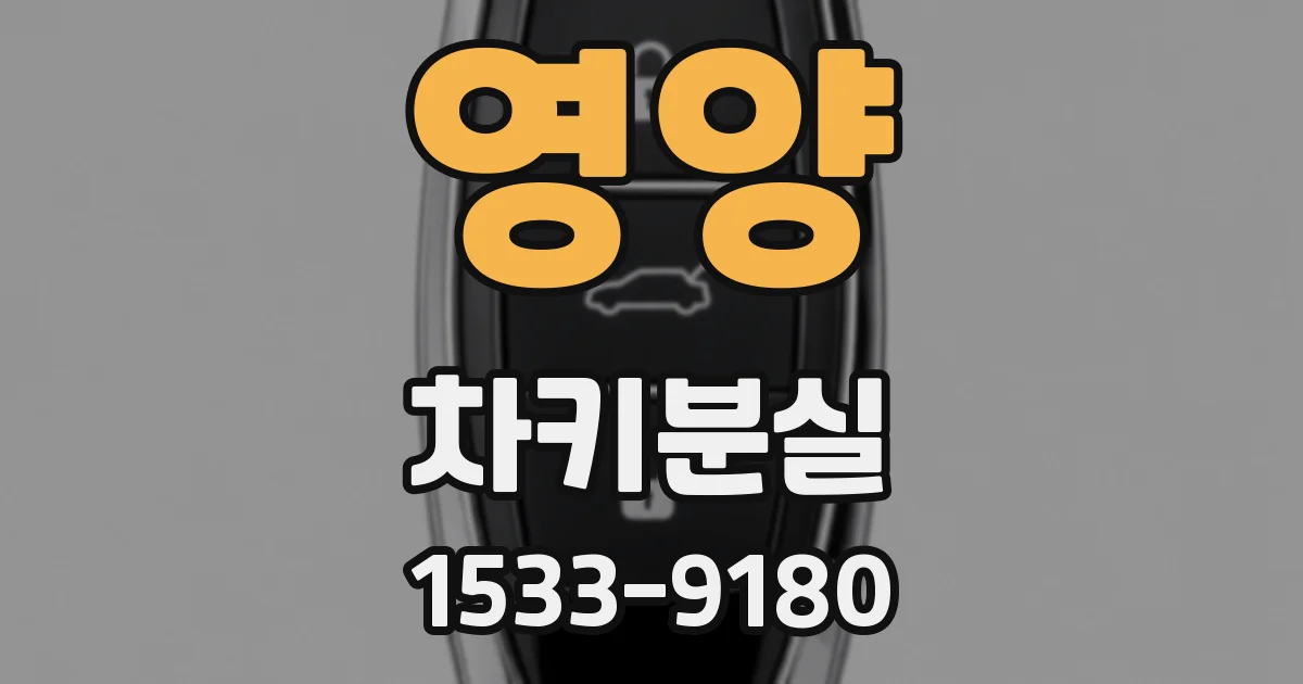 영양 차키분실