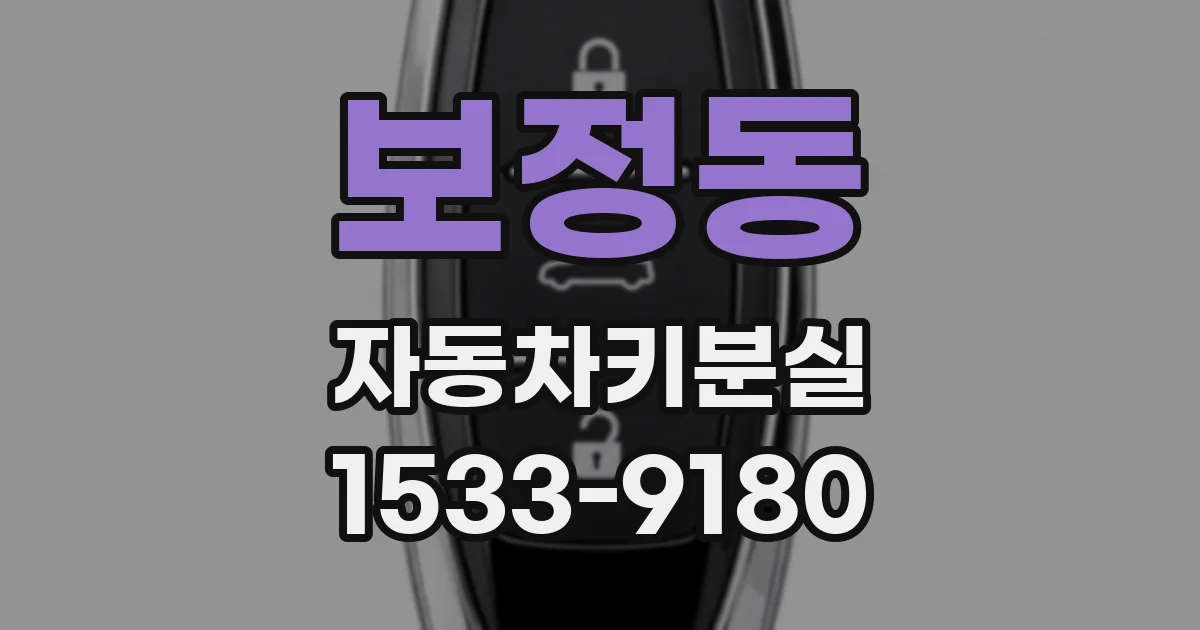 보정동 자동차키분실